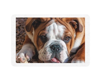 THE BULLDOG COLLECTION: Bulldog Food Mat (12x18)