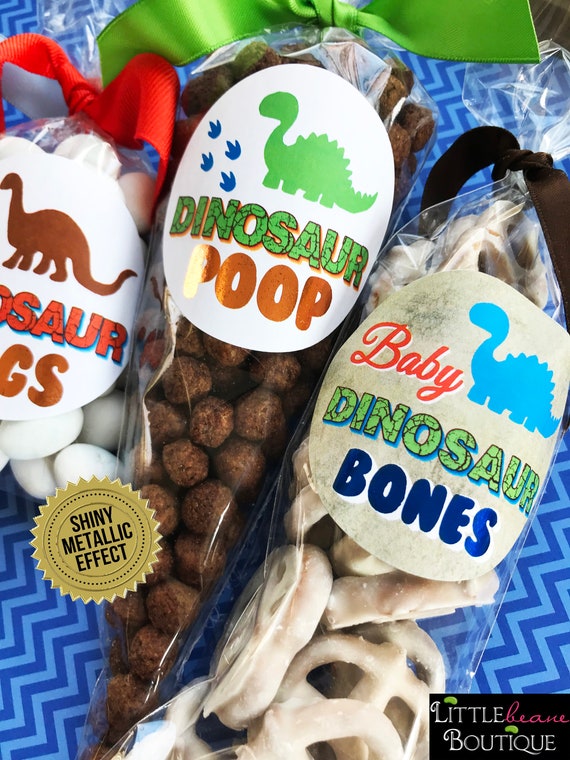 Baby Dinosaur Stickers, Dinosaur Birthday Party favor Labels, Dino Dig