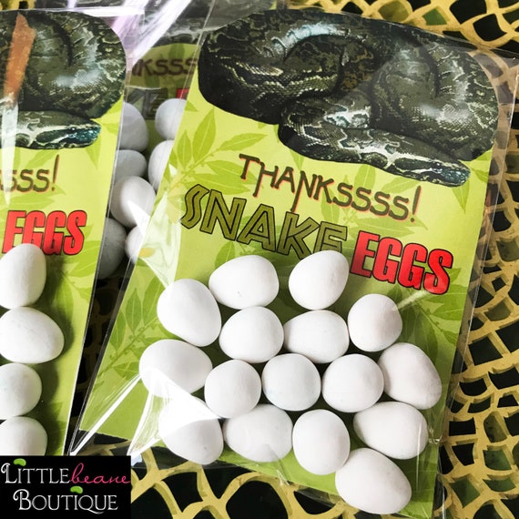 Printable Safari Jungle Favors, Snake Favors, Snake Eggs, DIY, Favor tags, Reptile Party, Safari Jungle party, Swamp Birthday Party Il_570xn