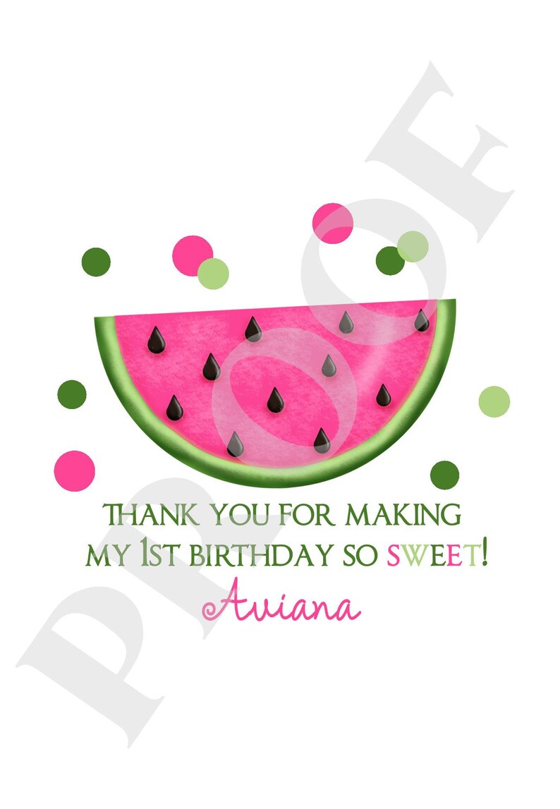 Watermelon Birthday Party Candy Bags Favor Bags Watermelon Etsy