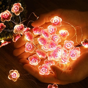 May include: A string of delicate, illuminated flower lights. Each blossom is a soft pink with a glowing center, strung on a thin, flexible wire. The lights are held in cupped hands, creating a warm, inviting ambiance.