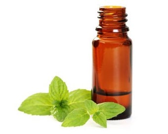 Indian Peppermint Essential Oil