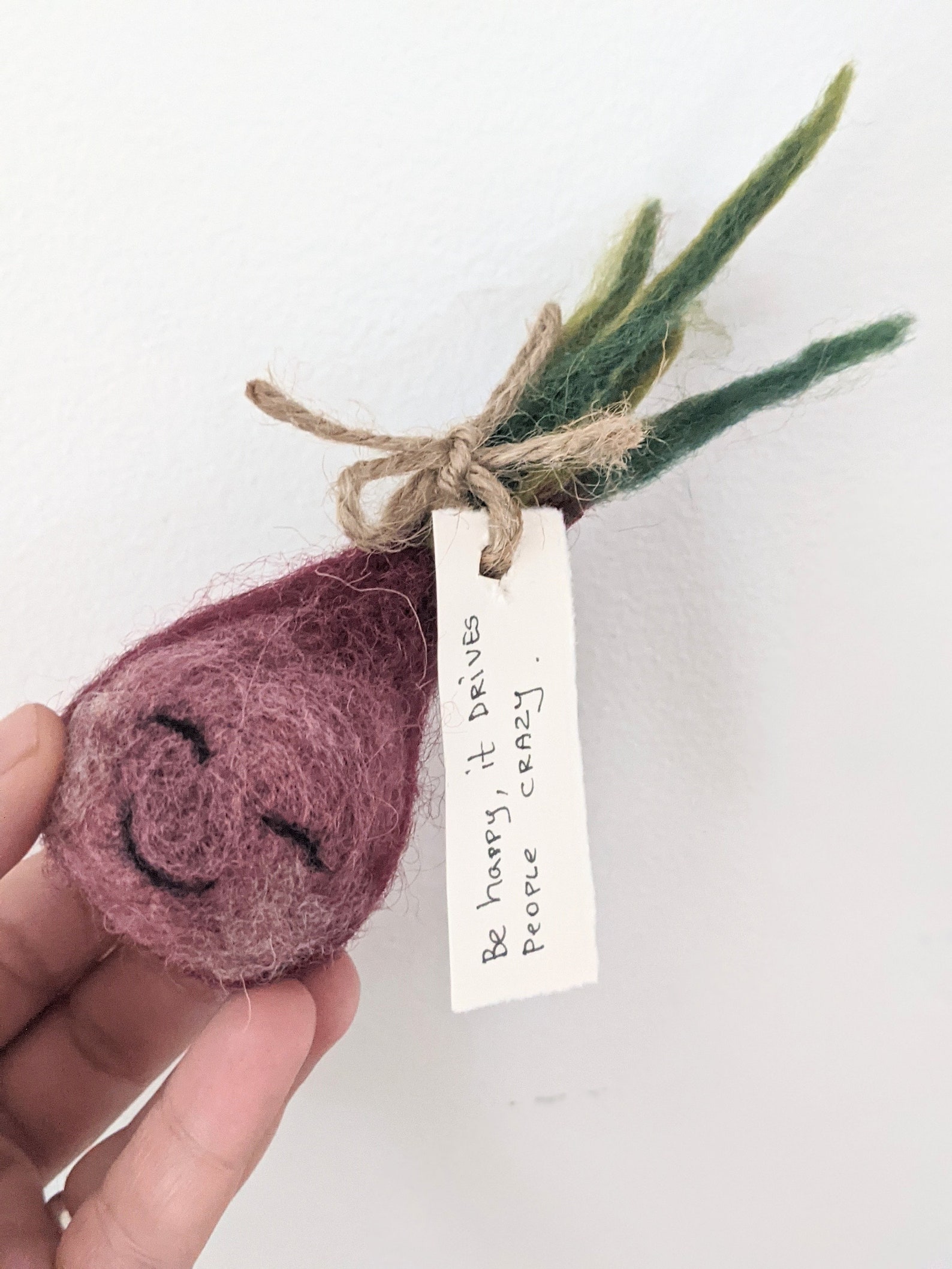 Needle Felted Plant Crazy Plant Lady Whimsical Gift Etsy