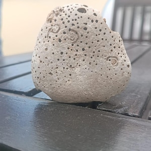 May include: A porous, light gray stone with numerous small holes and a rough texture. The stone has a rounded shape and appears to be a natural formation. The stone is resting on a dark wooden surface.