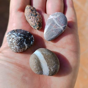 Può includere: Quattro pietre lisce e arrotondate con diversi motivi e colori. Le pietre sono grigie, marroni, bianche e rosa.