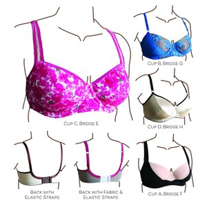 May include: Diagram showing different bra cup sizes and back styles. The bra styles include a floral print bra, a blue lace bra, a satin bra, a black bra, and a bra with elastic straps. The diagram also shows the different cup sizes, A, B, C, and D, and the different back styles, F, G, H, and E.