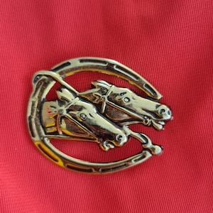 Rare Vintage brooch horse horseshoe gold color, collection