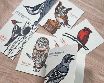 FEATHERED FRIENDS Pack of 6 BIRD Letterpress Greeting Cards, hand printed and carved lino cut, nuthatch owl cardinal woodpecker mockingbird