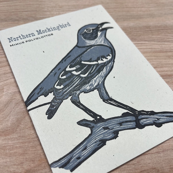 NORTHERN MOCKINGBIRD hand printed hand carved BIRD lino cut letterpress greeting cards, Feathered Friends series, polyglottos, ornithology