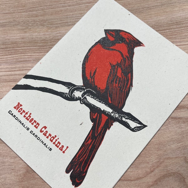 NORTHERN CARDINAL hand printed hand carved BIRD lino cut letterpress greeting cards, Feathered Friends series, cardinalis, ornithology