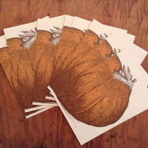 May include: A set of eight cards with a brown and white illustration of a pumpkin. The cards are arranged in a fan shape.