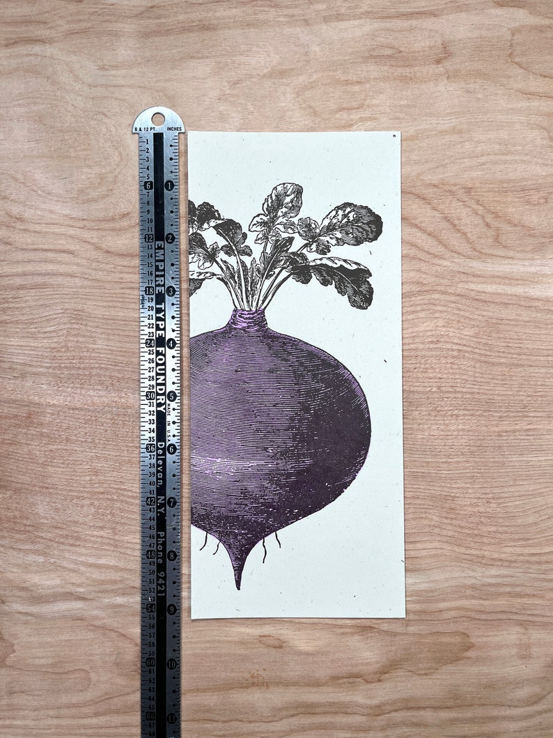 8 BEET GREETING CARDS Farmers Market hand printed Letterpress Card 10 size farmer's gift, garden, organic, root vegetables, food chef gifts image 8