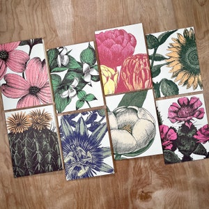 May include: Set of eight botanical illustrations featuring various flowers and plants. The illustrations are printed on white cardstock and feature a variety of colors, including red, pink, yellow, green, and blue.