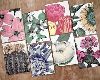 May include: Set of eight botanical illustrations featuring various flowers and plants. The illustrations are printed on white cardstock and feature a variety of colors, including red, pink, yellow, green, and blue.
