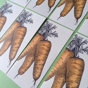 8 CARROT Greeting CARDS Farmers Market, Letterpress Printed Card, fresh ripe veggies, veg lovers, orange root vegetable, Vitamin A