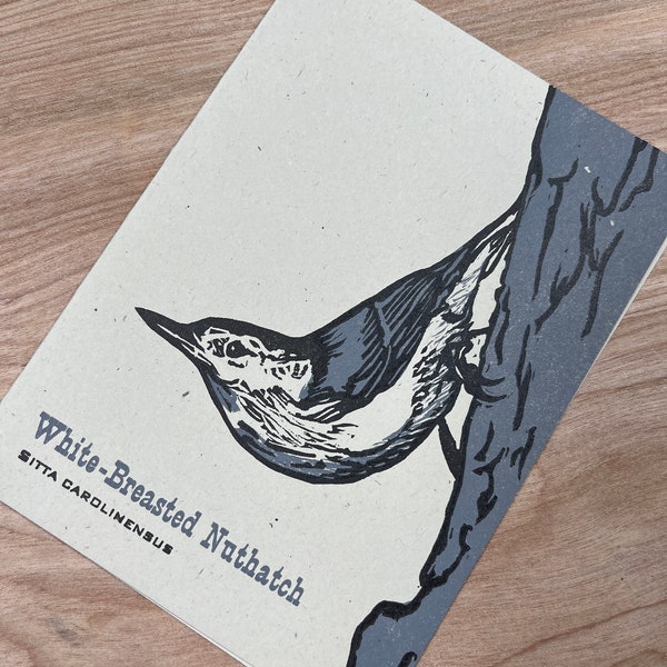 WHITE-BREASTED NUTHATCH hand printed hand carved bird lino cut letterpress greeting cards, Feathered Friends series, sitta, ornithology