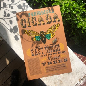 May include: A vintage-style poster with a brown background and green, yellow, and black illustrations of a cicada. The poster features the text "The Periodical Cicada That East Tennessee Summer Sound In The Trees". The cicadas of southern Europe were highly esteemed by the ancient Greeks and Romans for their song.