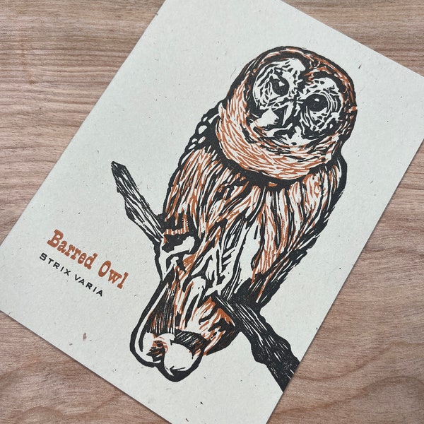 BARRED OWL hand printed hand carved BIRD lino cut letterpress greeting cards, Feathered Friends series, strix varia, ornithology, striped