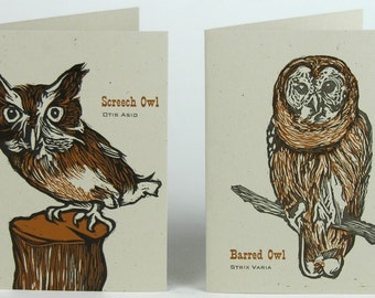 SCREECH and BARRED OWLS 4 Pack of Hand Lino Cut Letterpress Greeting Cards