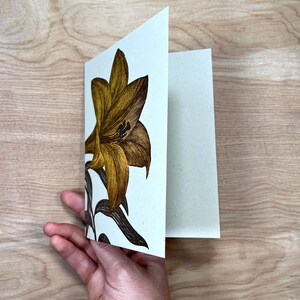 Orange DAY LILY Greeting cards Farmers Market Letterpress Card Pack of 8 gardening flowers easter spring southern gardening bulbs image 7