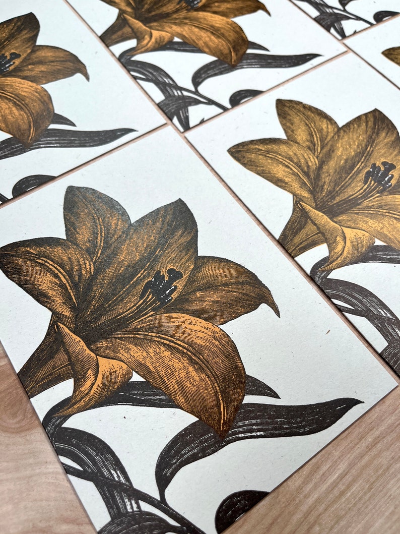 Orange DAY LILY Greeting cards Farmers Market Letterpress Card Pack of 8 gardening flowers easter spring southern gardening bulbs image 4