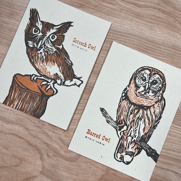 OWL cards, frame or mail SCREECH and BARRED 4 Pack letterpress lino cut notes, Feathered Friends bird watchers gift hand printed art
