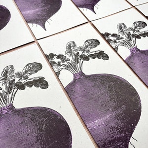 8 BEET GREETING CARDS Farmers Market hand printed Letterpress Card 10 size farmer's gift, garden, organic, root vegetables, food chef gifts image 5