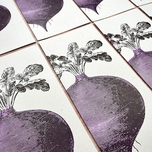 May include: A set of six vintage botanical prints featuring a detailed illustration of a purple turnip with green leaves.
