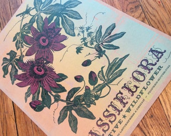 PASSION FLOWER Native WILDFLOWER Passiflora incarnata Poster, hand printed letterpress, Tennessee State Wildflower, Maypop, botanical art