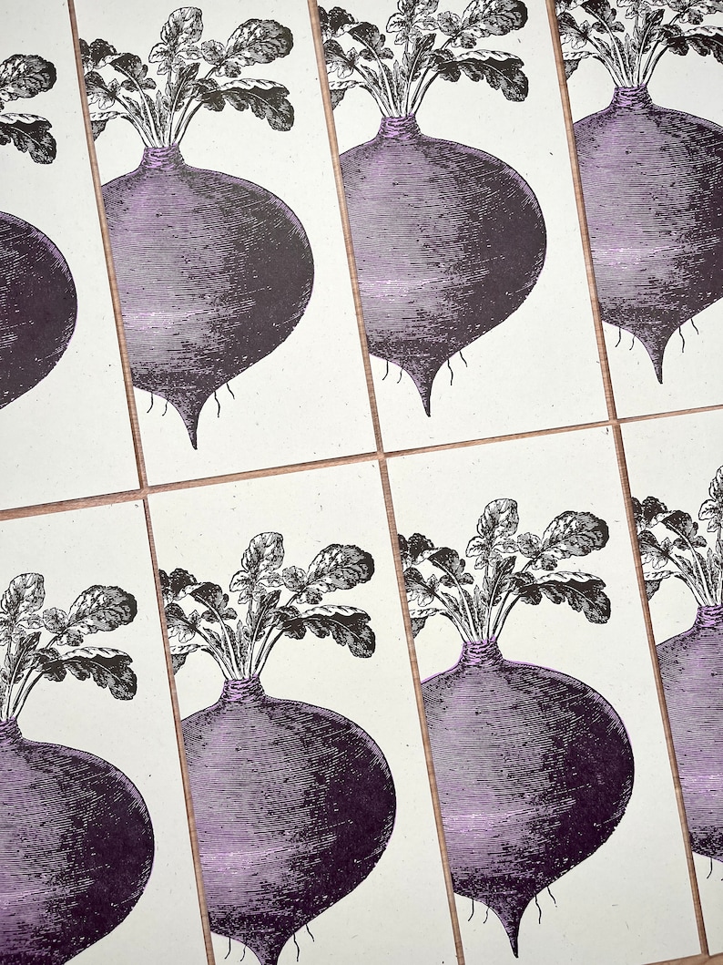 Set of 8 folded greeting cards of an antique beet engraving, printed in brown and purple inks on cream colored paper.