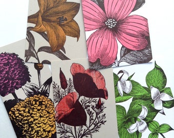 5 FLOWER PRINTS for framing Letterpress folded cards, Dogwood, Poppy, Day Lily, Trillium wildflowers, Zinnia notes, garden prints
