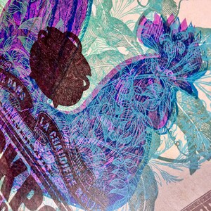 BLACKPOT MONOPRINT POSTER, Hand Printed Letterpress Print, rooster chicken art, One of a Kind, purple blue green, floral jasmine, abstract