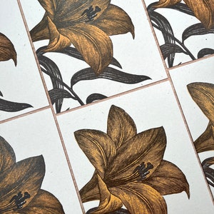 Set of 8 folded greeting cards of a vintage Day Lily engraving, hand printed letterpress in orange and dark brown inks on cream colored paper.