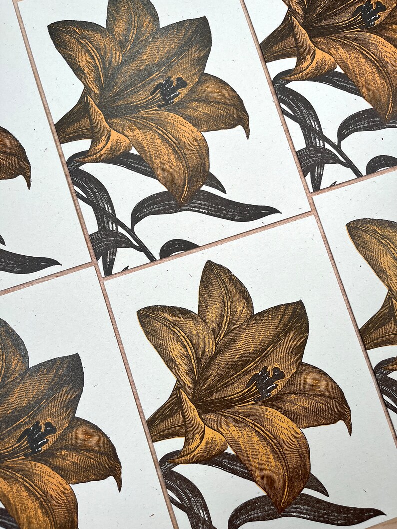 Set of 8 folded greeting cards of a vintage Day Lily engraving, hand printed letterpress in orange and dark brown inks on cream colored paper.