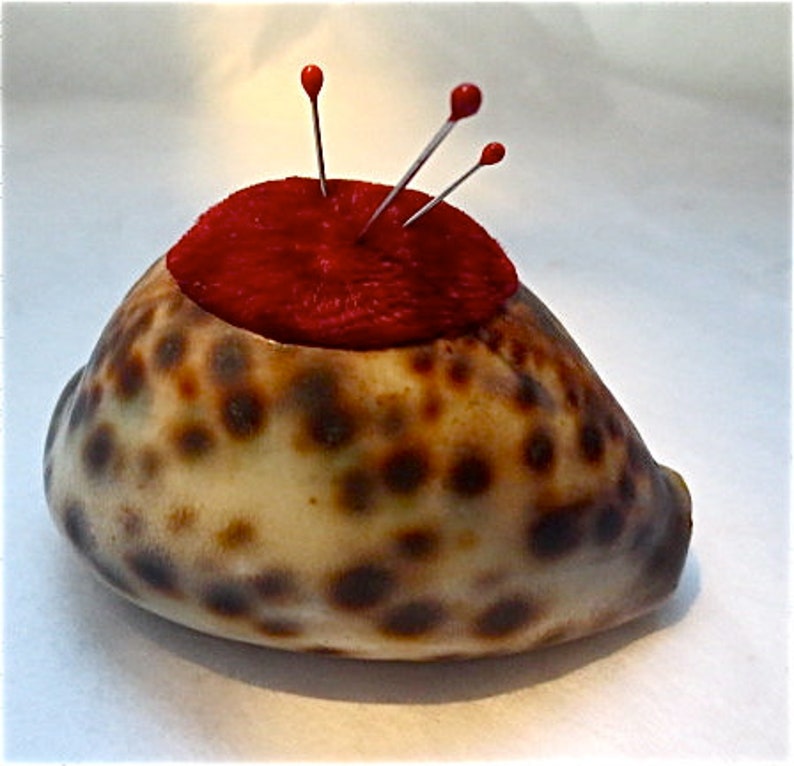 Cowrie Shell Pincushion Vintage 1940s Souvenir Etsy