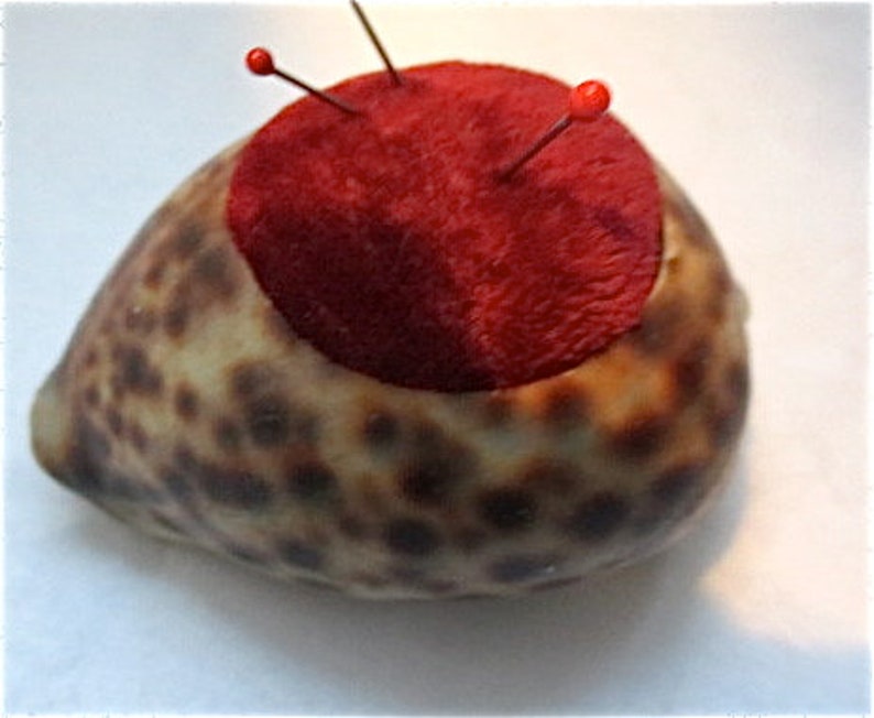 Cowrie Shell Pincushion Vintage 1940s Souvenir