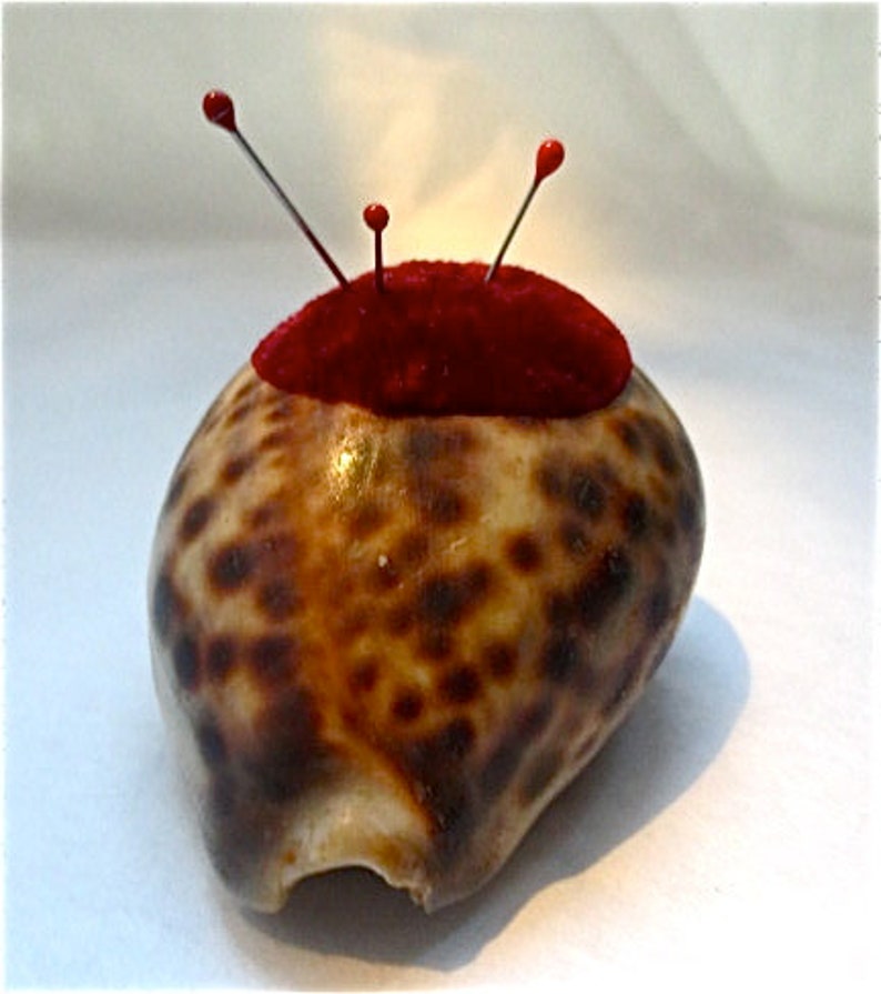 Cowrie Shell Pincushion Vintage 1940s Souvenir