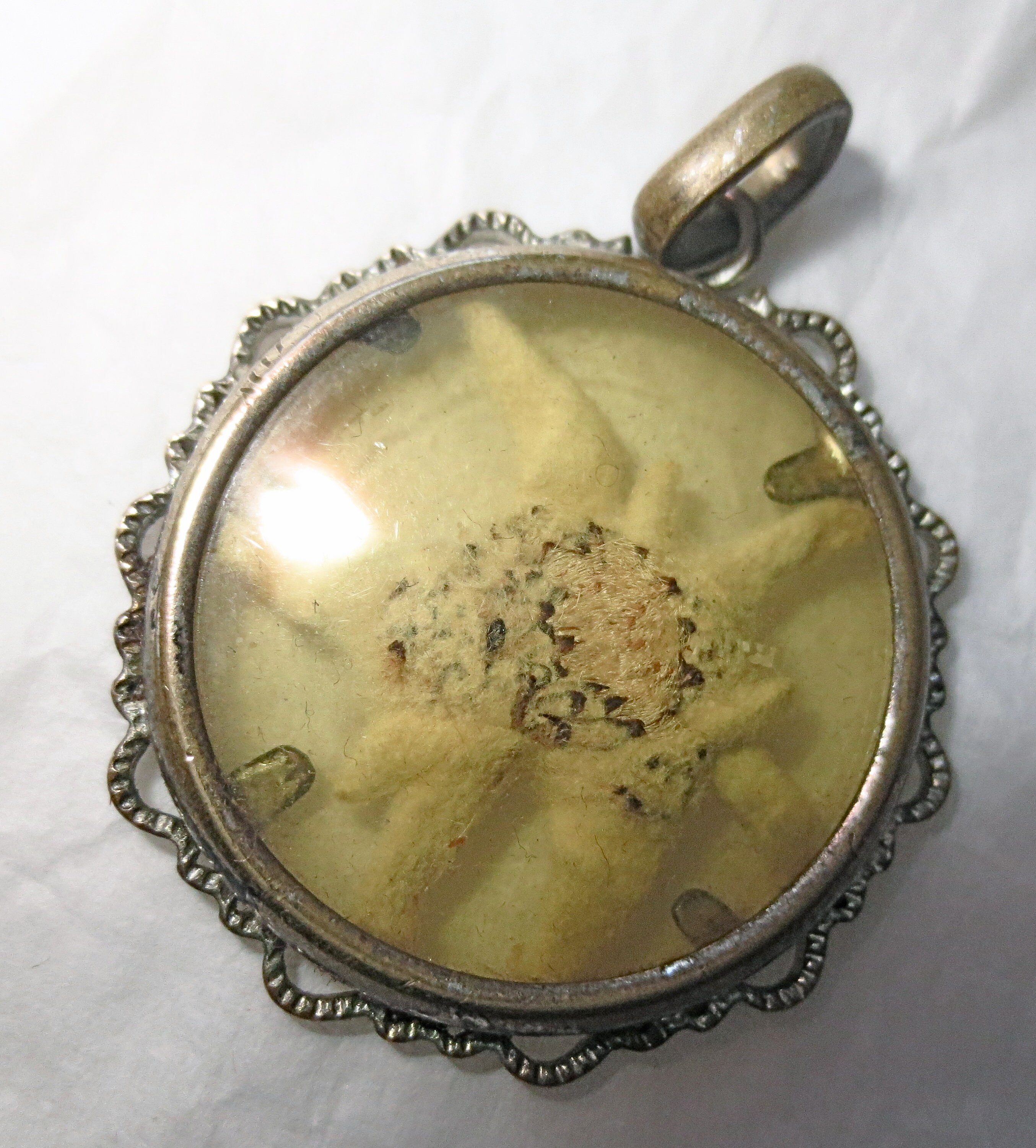 Love Gesture Locket- Pressed Edelweiss Flower in Antique Pendant 