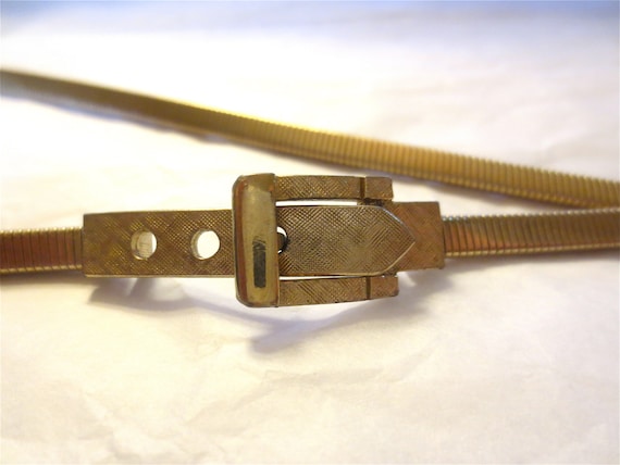 Golden Snake Metal Belt - image 1