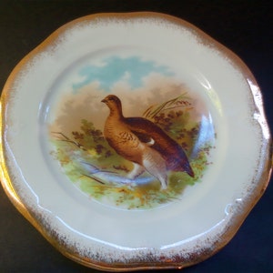 May include: A white porcelain plate with a gold rim features a painted image of a brown and white bird in a grassy field. The plate has a rustic, vintage aesthetic.