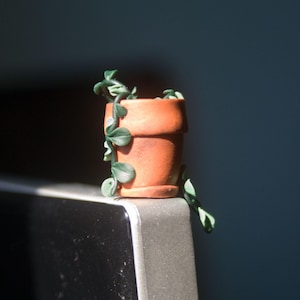 Pode incluir: Um pequeno vaso de terracota com uma planta trepadeira verde crescendo fora dele. O vaso está sentado em uma superfície cinza.