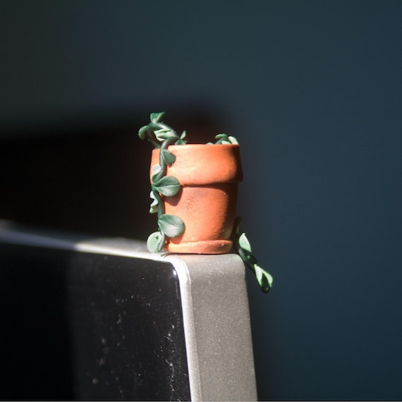 Potted Plant Monitor Topper | Desk Decoration | Car Accessory | Shelf Ornament