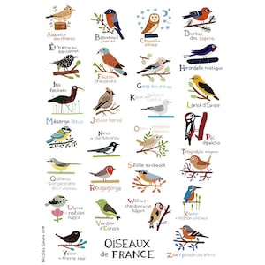 ABC de las aves de Francia