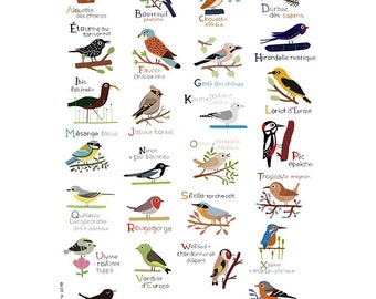 Print ABC of birds