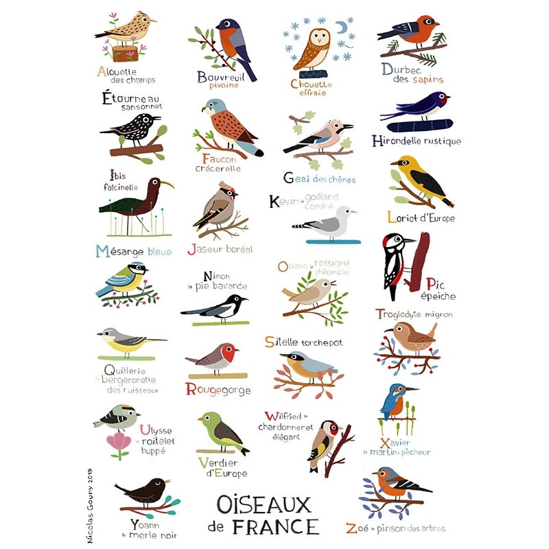 Print ABC of Birds - Etsy