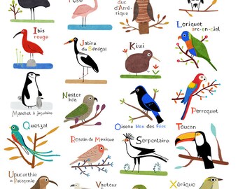 Print ABC of worldwide birds