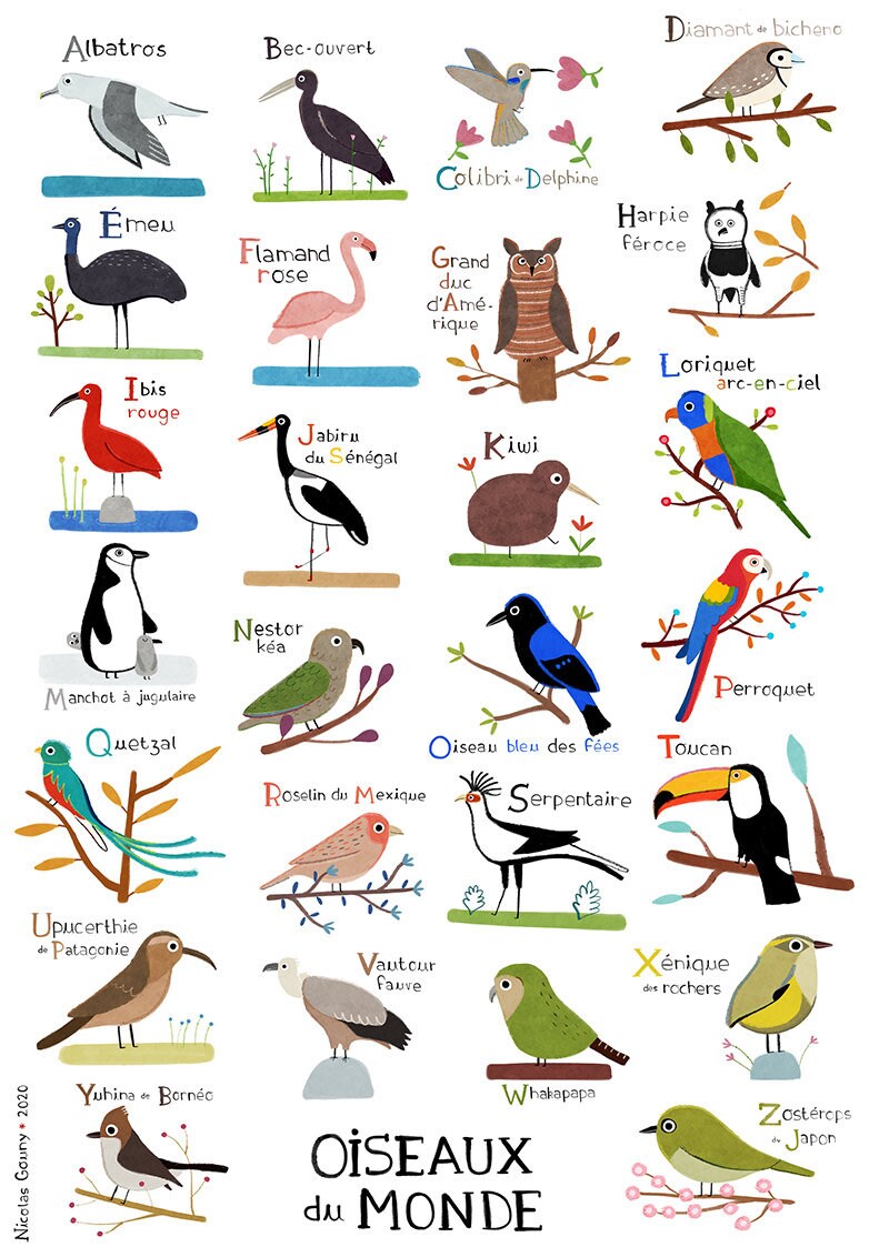 Print Abc Of Worldwide Birds Etsy