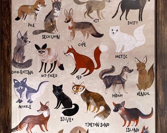 Foxes of the world illustrated A2 print