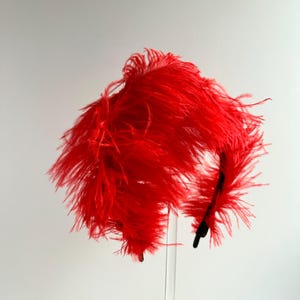 May include: A vibrant red headband adorned with long, wispy ostrich feathers. The feathers are densely packed, creating a voluminous and textured appearance that extends outward from the thin, dark-colored base band structure.
