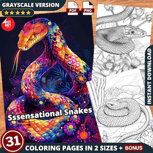 Ssensational Snakes Coloring Pages, Snake Cute Coloring Sheets 2 Sizes, Instant Access, Digital Coloring PNG + Printable PDF + Colored Pages